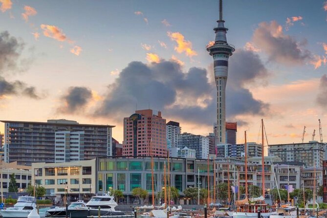 Auckland Downtown Hotel Transfers to/from Cruise Ship in Minivan - Who this transfer suits best (and who should look elsewhere)