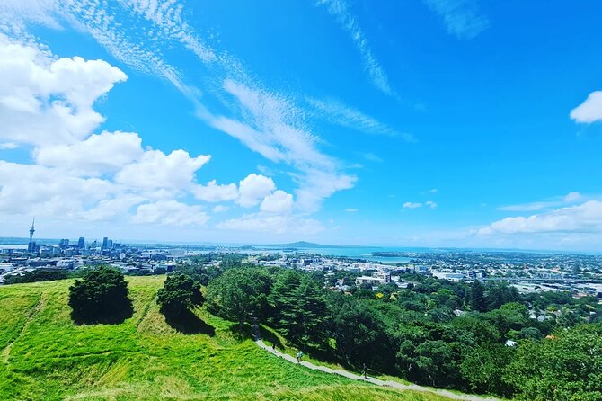 Auckland Full Day Attractions & Museums Tour - Achilles Point for the Hauraki Gulf panorama at the edge of the city