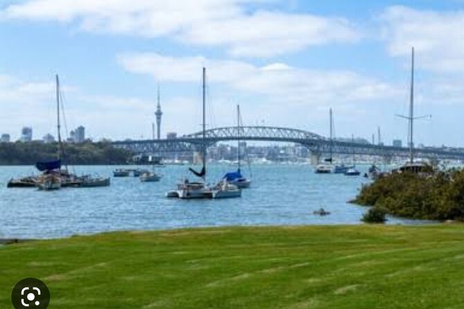Auckland Full Day Attractions & Museums Tour - How the small-group format actually helps