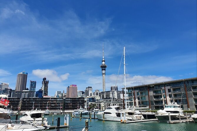 Auckland Full Day Attractions & Museums Tour - Price and value: when $217.20 makes sense