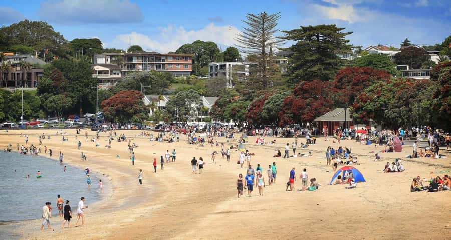 Auckland: Full-Day City Tour - Quick reasons this Auckland city tour works