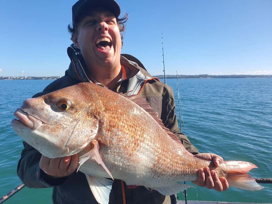 Auckland: Full-Day Fishing Charter (7 am - 4 pm) - The species you are targeting, and why variety is useful