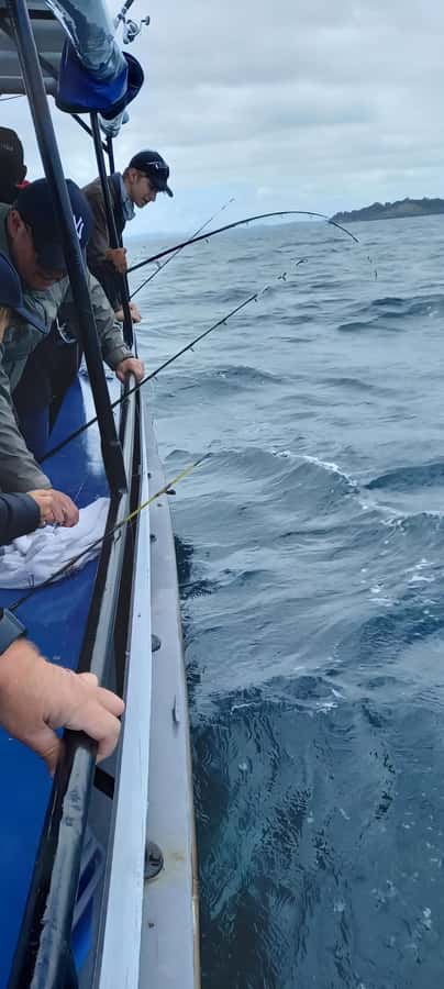 Auckland: Full-Day Fishing Charter (7 am - 4 pm) - Your lunch and the chilly bin plan for keeping a catch
