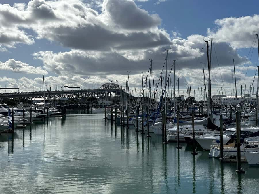 Auckland: GoGuided Auckland City Tour - Price and value at $59 for a private 75 to 90 minute orientation