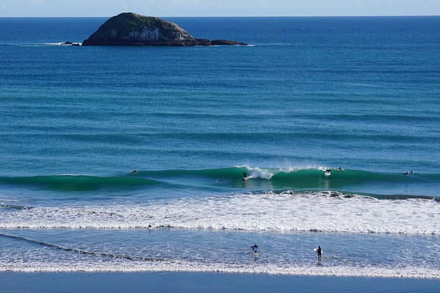 Auckland: Group Surfing Lesson with Muriwai Surf School - What’s provided, what you should bring, and how to prep