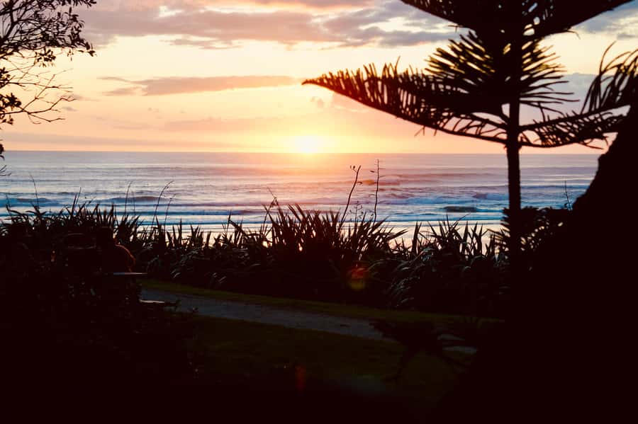 Auckland: Group Surfing Lesson with Muriwai Surf School - Who this surf lesson suits best, and who should skip