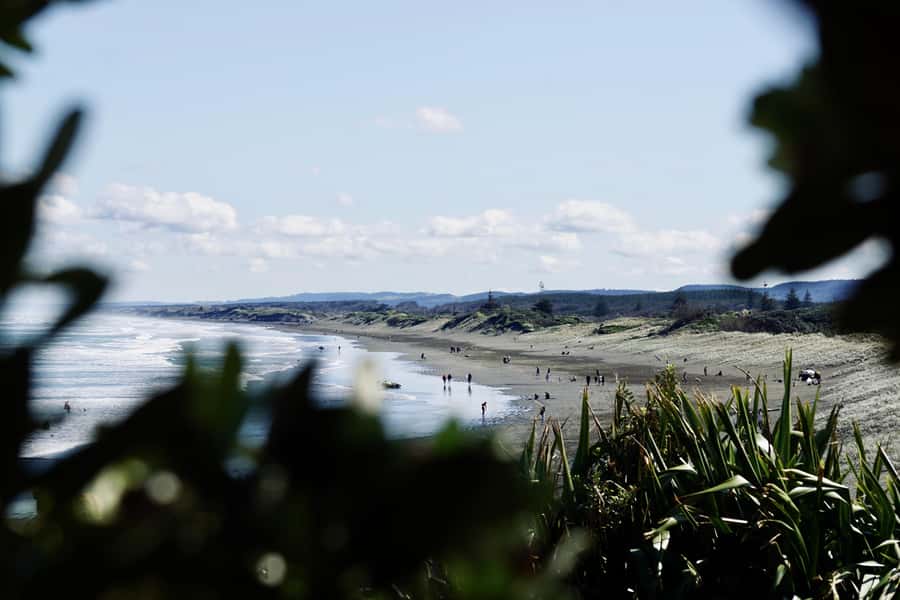Auckland: Group Surfing Lesson with Muriwai Surf School - How to make your first ride more likely