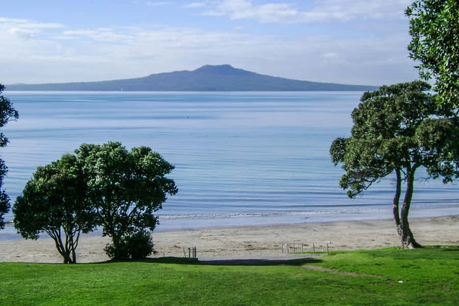 Auckland: Guided Small Group City Discovery Tour - Small-Group Comfort and Tour Timing That Actually Works