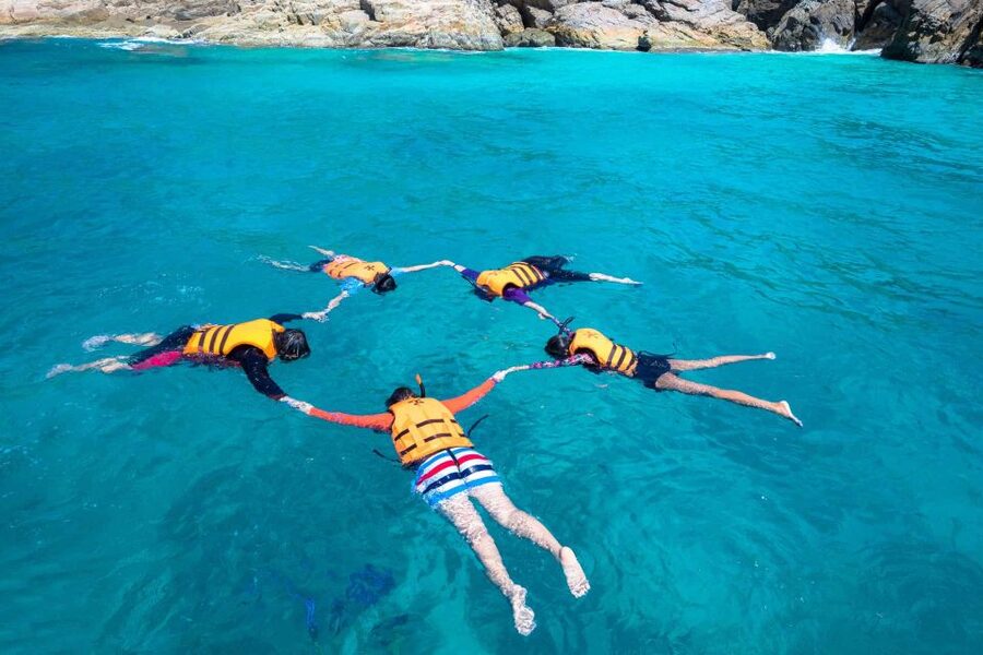 Auckland: Guided Snorkeling and Island Exploration Tours - Key highlights you will care about