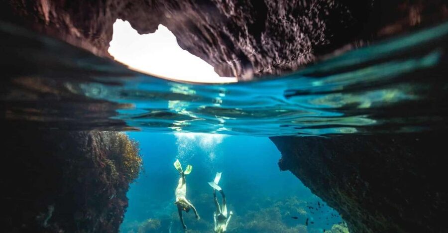 Auckland: Guided Snorkeling and Island Exploration Tours - Snorkeling and Eco-Walk on Tiritiri Matangi, the best combo in the Hauraki Gulf