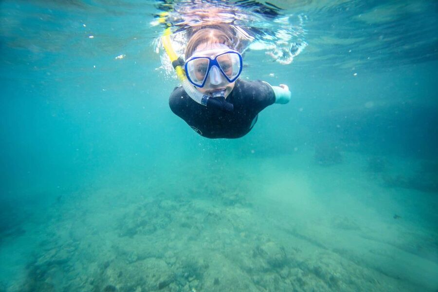 Auckland: Guided Snorkeling and Island Exploration Tours - Ferry logistics and the meeting point near the wharf