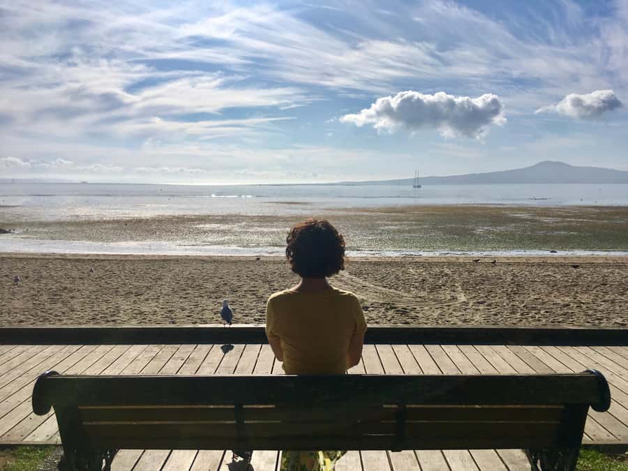 Auckland: Half-Day Auckland Volcanoes Tour - Quick Takeaways