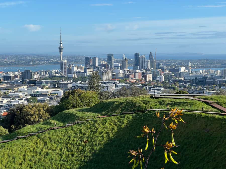 AUCKLAND: Half-Day CITY HIGHLIGHTS TOUR - Mt.Eden, Tamaki Dr - Key highlights you should not miss