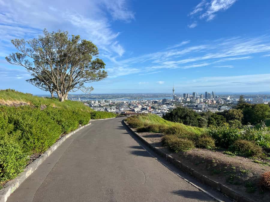 AUCKLAND: Half-Day CITY HIGHLIGHTS TOUR - Mt.Eden, Tamaki Dr - Getting picked up and rolling through the Auckland CBD and Sky Tower area