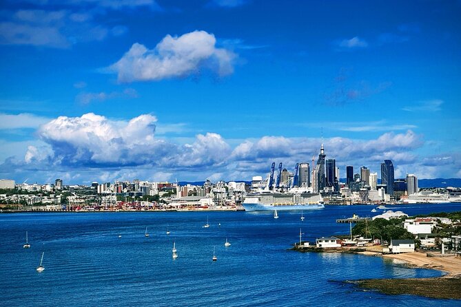 Auckland Half Day City Tour - Heart of Auckland - Key things that make this tour a smart Auckland intro