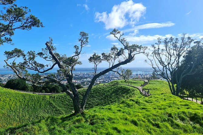 Auckland Half Day City Tour - Heart of Auckland - Holy Trinity Cathedral: a quick stop with a very specific identity