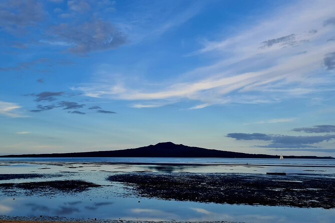 Auckland Half Day City Tour - Heart of Auckland - What you pay for: price, included value, and what to plan on yourself