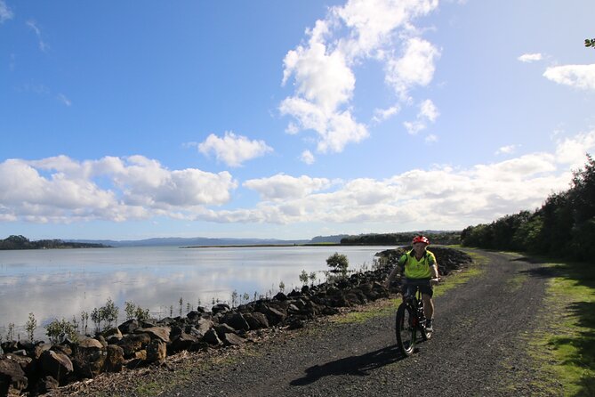 Auckland Half Day E-Bike Excursion - Your Ride Starts at 136 Fanshawe Street, Waterfront First