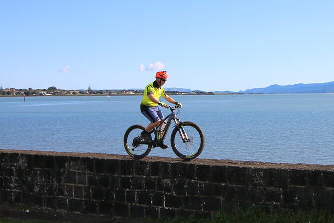 Auckland Half Day E-Bike Excursion - Te Atatu Peninsula Views and the Planned Coffee Pause