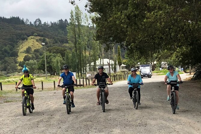 Auckland Half Day E-Bike Excursion - How Much Value $93.09 Buys You in Real Sightseeing Time