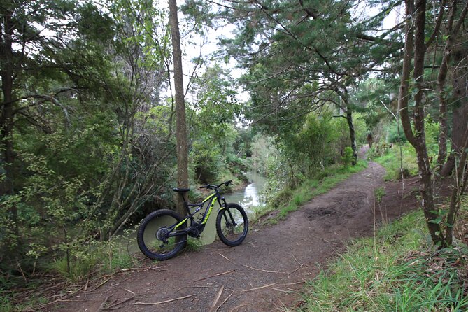 Auckland Half Day E-Bike Excursion - Who This Tour Fits Best (And Who Might Prefer Something Else)