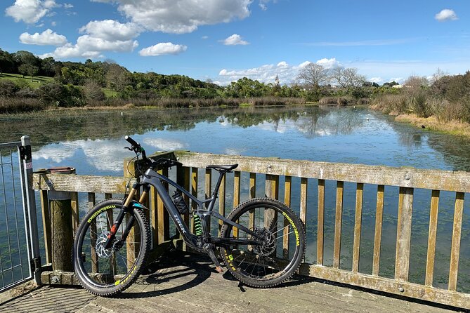 Auckland Half Day E-Bike Excursion - The Western Springs Loop and Meola Peninsula: City + Water, Without the Stress