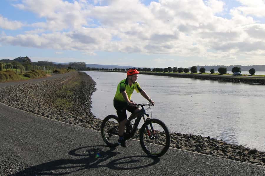 Auckland Half-Day Ebike Tour Excursion - Who this Auckland half-day ebike tour suits best