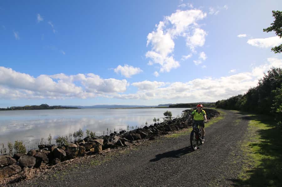 Auckland Half-Day Ebike Tour Excursion - Western Springs Park, Auckland’s biggest lake moment