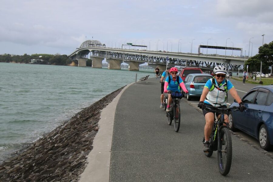 Auckland Half-Day Ebike Tour Excursion - Meola Reserve and Te Atatu Peninsula, where the views open up