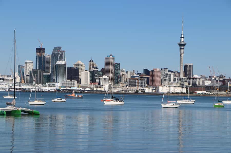 Auckland: Half-Day Scenic Sightseeing Tour - Getting picked up the right way: central Auckland convenience