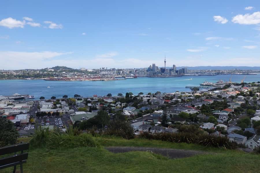 Auckland: Half-Day Scenic Sightseeing Tour - Eden at 196 meters: the best “first timer” payoff