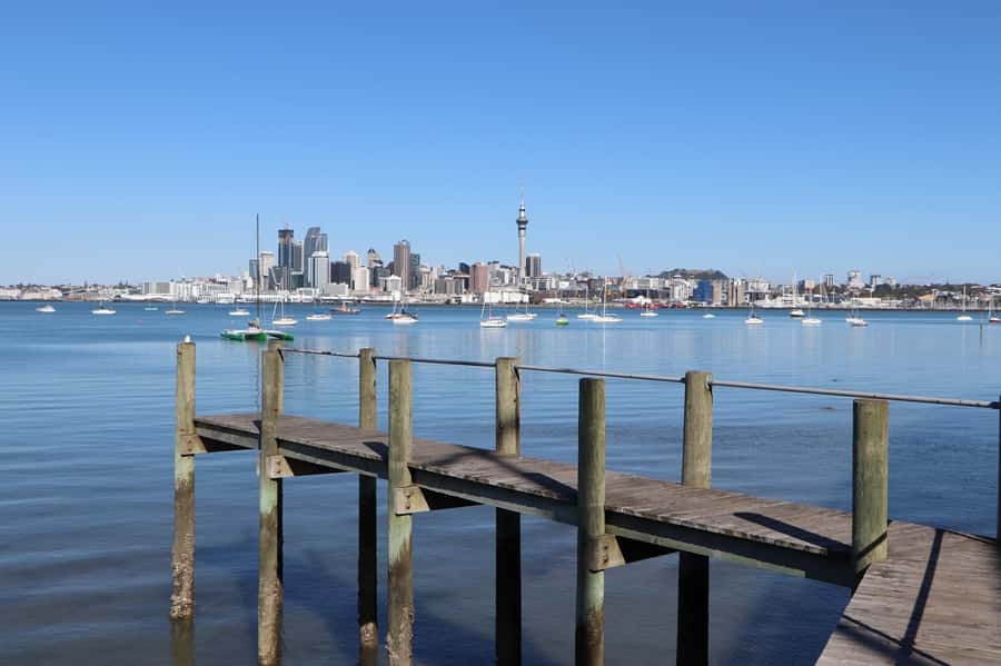 Auckland: Half-Day Scenic Sightseeing Tour - Price and value: why $68 can feel like a bargain