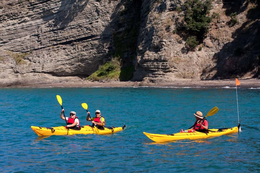 Auckland: Half-Day Sea Kayak Tour to Motukorea Island - Key highlights you’ll care about