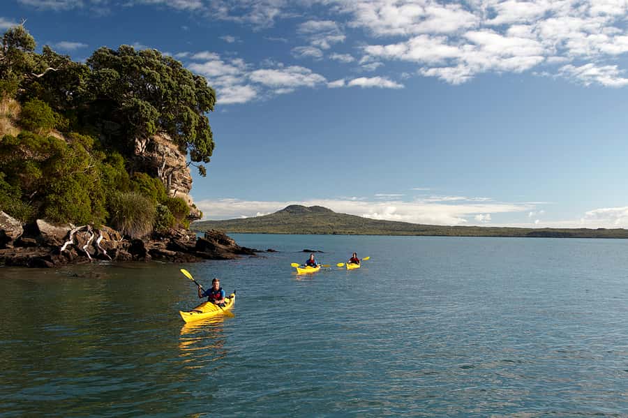 Auckland: Half-Day Sea Kayak Tour to Motukorea Island - The guides make it feel easy: Marco, Daniel, and Bennet