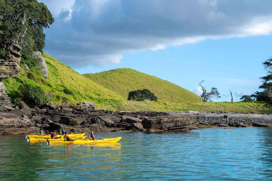 Auckland: Half-Day Sea Kayak Tour to Motukorea Island - Who this tour is best for, and who should skip it