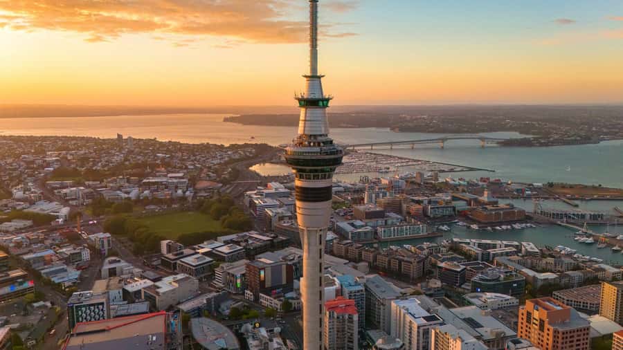 Auckland Half Day Tour Through Urban Wonders - Cornwall Park Walk: Scenic Green Space Close to the City