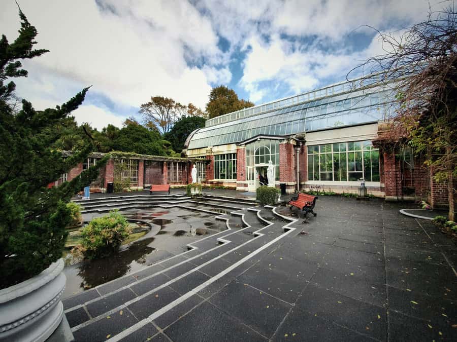 Auckland Half Day Tour Through Urban Wonders - Golden Hour Storytelling and Why the Guide Matters