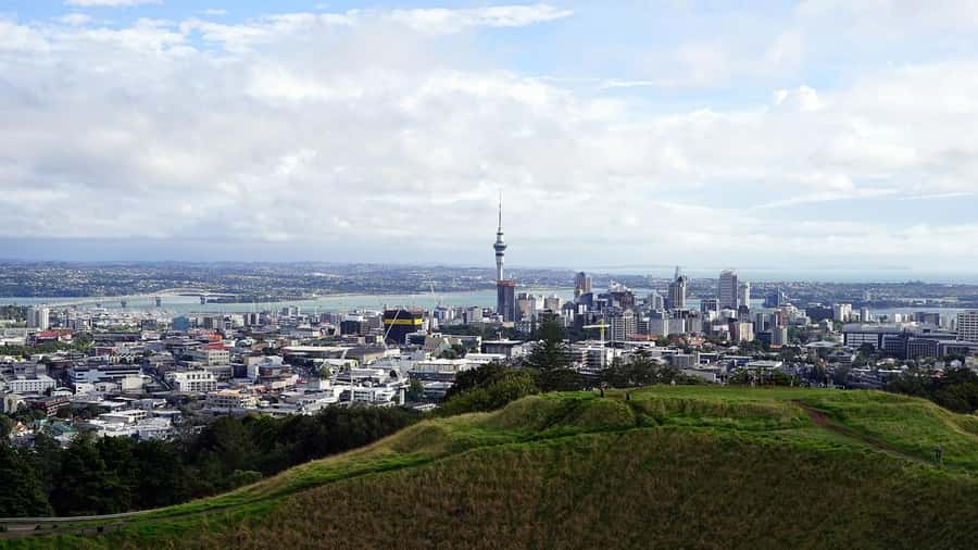 Auckland Half Day Tour Through Urban Wonders - What the $100 Price Covers, and What You Should Budget for