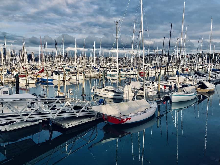 Auckland Half Day Tour Through Urban Wonders - Small Group Size, Language Options, and the Pace You Feel