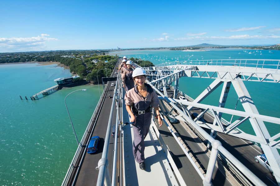 Auckland Harbor Bridge: Bridge Climb - Summit views you can’t get from the roadside