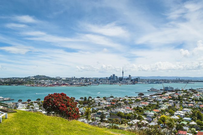 Auckland Harbour Cruise - Bean Rock Lighthouse and Devonport Naval Base: More Than Just Buildings
