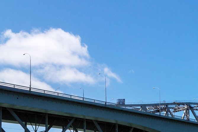 Auckland Harbour Cruise - Price and Value: $36.61 for a High-Impact Sightseeing Hour