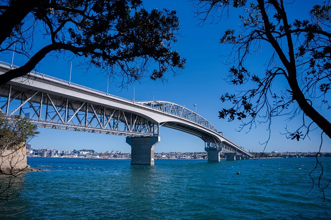 Auckland Highlight Attractions Small Group Tour - Holy Trinity Cathedral: modern Pacific-Gothic details worth your time