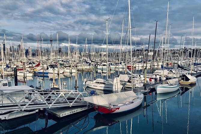Auckland Highlight Attractions Small Group Tour - Guide energy, group size, and why the pacing feels friendly