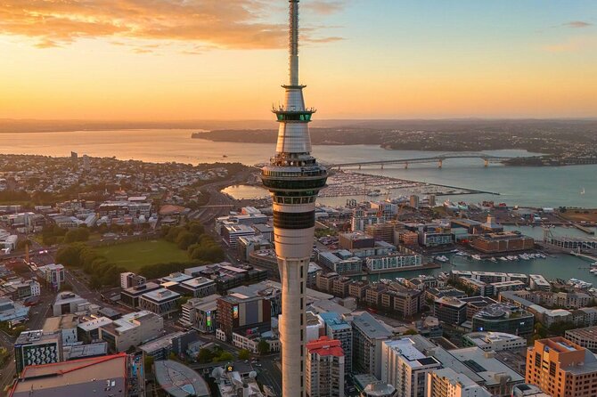 Auckland Highlight Attractions Small Group Tour - Hilton Auckland pickup and why “no-stress start” matters