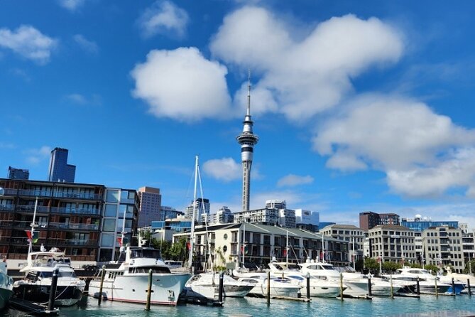 Auckland Highlights Full Day Guided Tour - Key things that make this Auckland day special