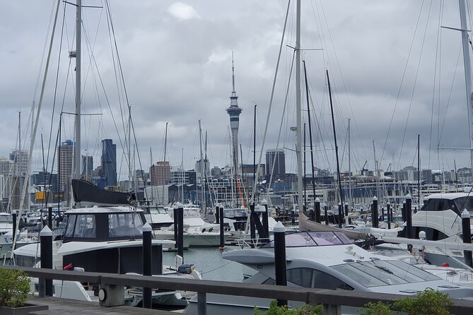 Auckland Highlights Full Day Guided Tour - Getting started at 9:00 am, from 107 Quay Street