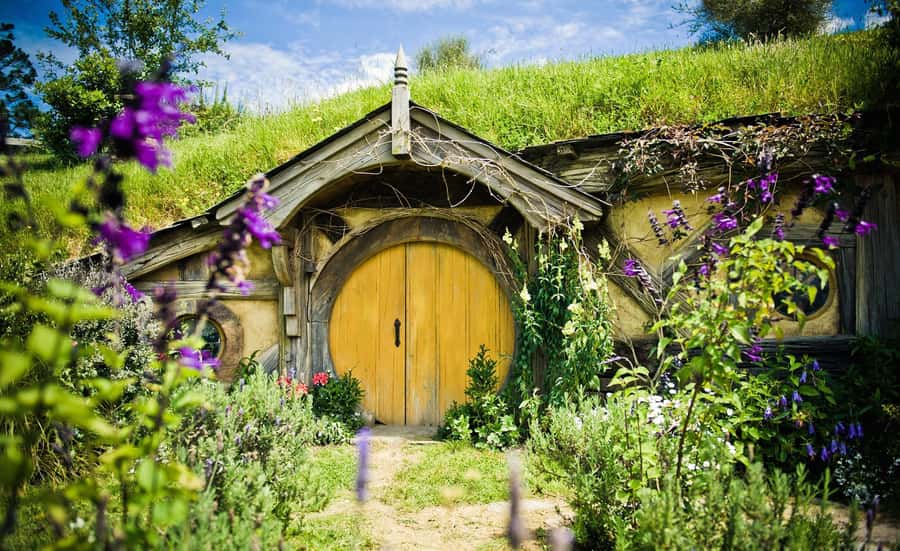 Auckland: Hobbiton Movie Set Tour with Lunch - Should You Book This Hobbiton Day Trip or Not?