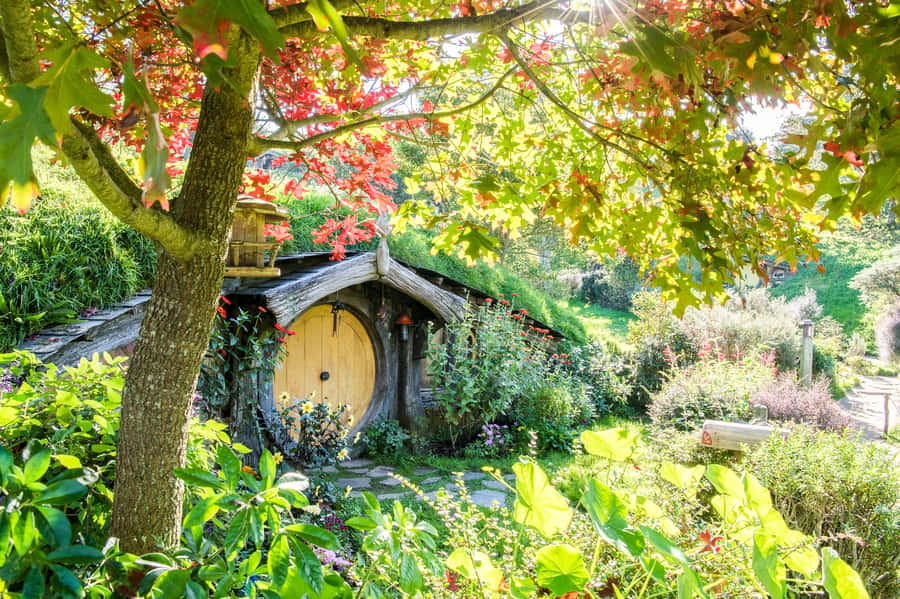 Auckland: Hobbiton Movie Set Tour with Lunch - Hobbiton Arrival and Shire’s Rest, Where the Story Starts