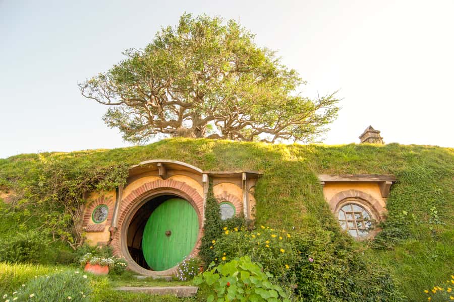 Auckland: Hobbiton Movie Set Tour with Lunch - Price and Value, Does It Make Sense for a Full Day Out